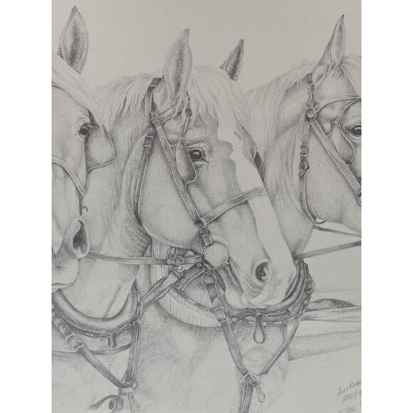 Sue Rupp Horses Pencil Drawing ‘The Girls' Signed Numbered 295/950 - Picture 6 of 10